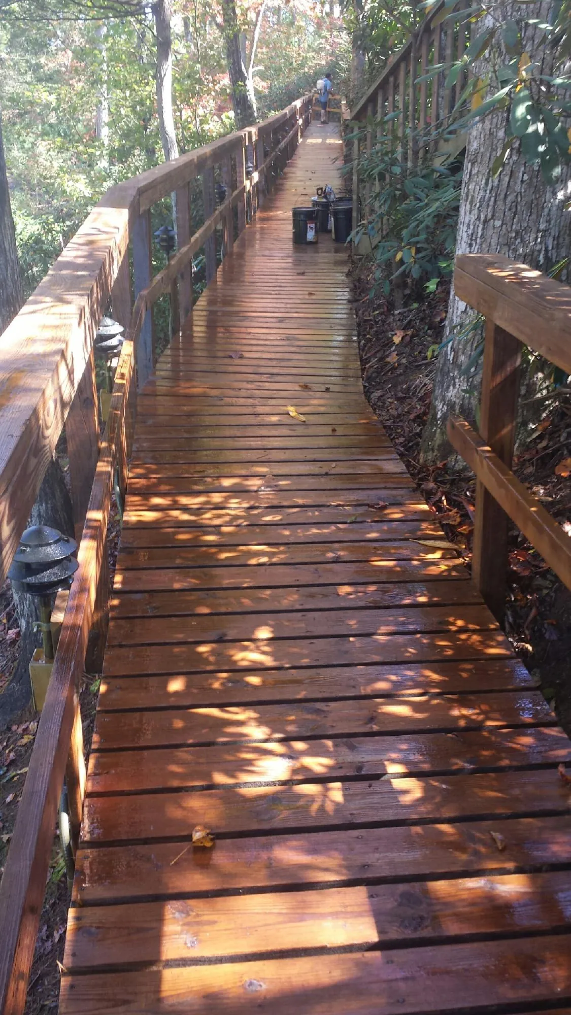 Freshly stained wood walkway winding through the woods in Shasta Lake